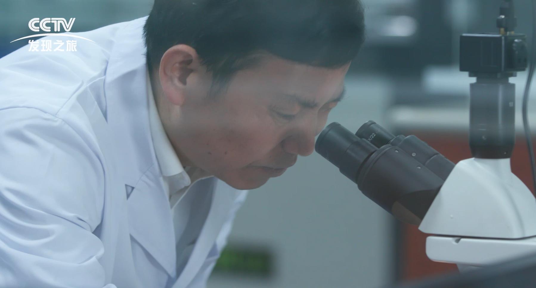 1591170826651601iX6p.jpg 1591170826651601iX6p.jpg